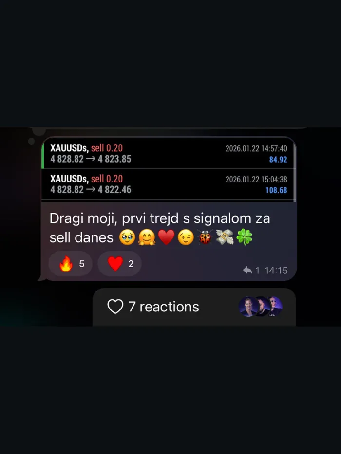 Mnenje člana 6
